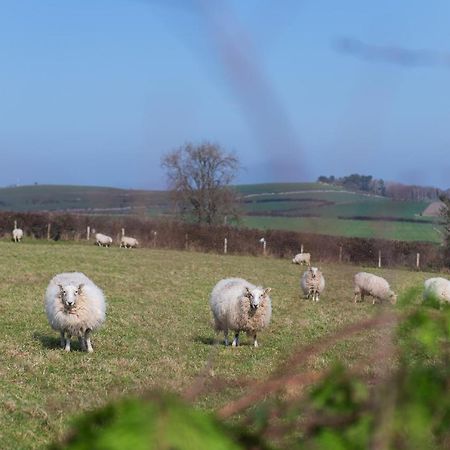Beautiful Countryside Cottage On The North Wales Coast アベルゲレ エクステリア 写真