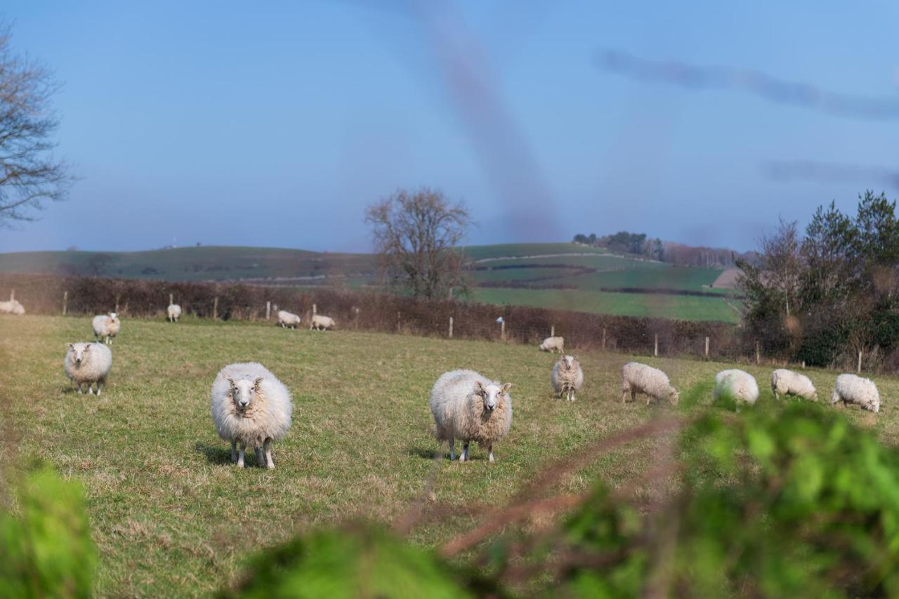 Beautiful Countryside Cottage On The North Wales Coast アベルゲレ エクステリア 写真