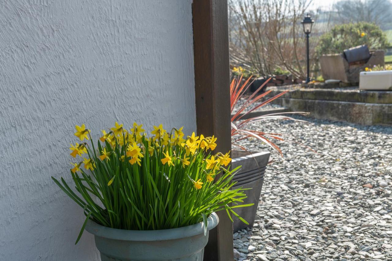 Beautiful Countryside Cottage On The North Wales Coast アベルゲレ エクステリア 写真